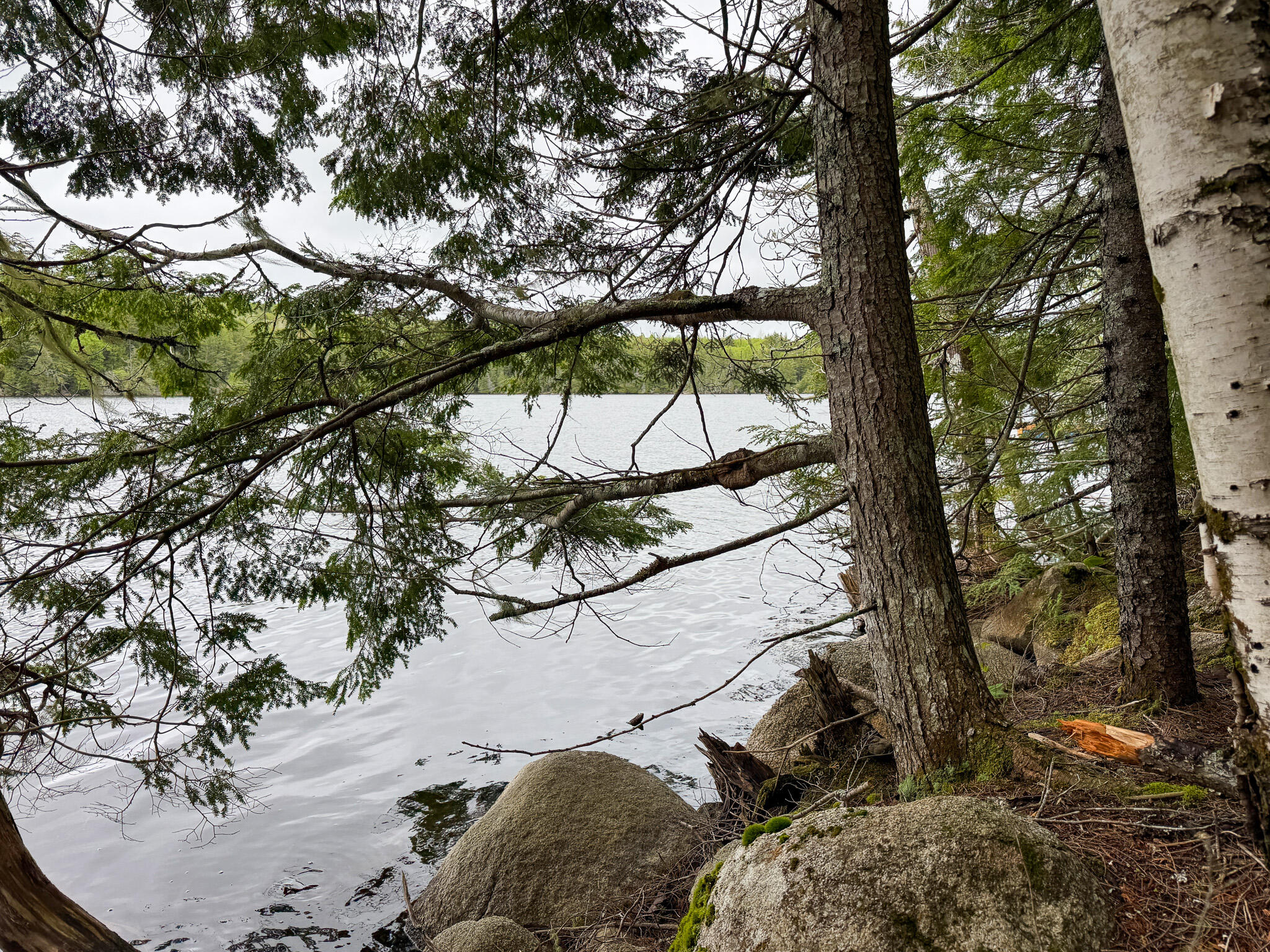 M7-l16 Upper Pug Road West Lakeville, ME 04487 - Photo 20 of 41 IMG_3713