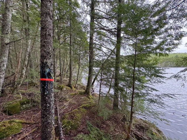 $199,000 | M7-l16 Upper Pug Road West, Lakeville, ME 04487