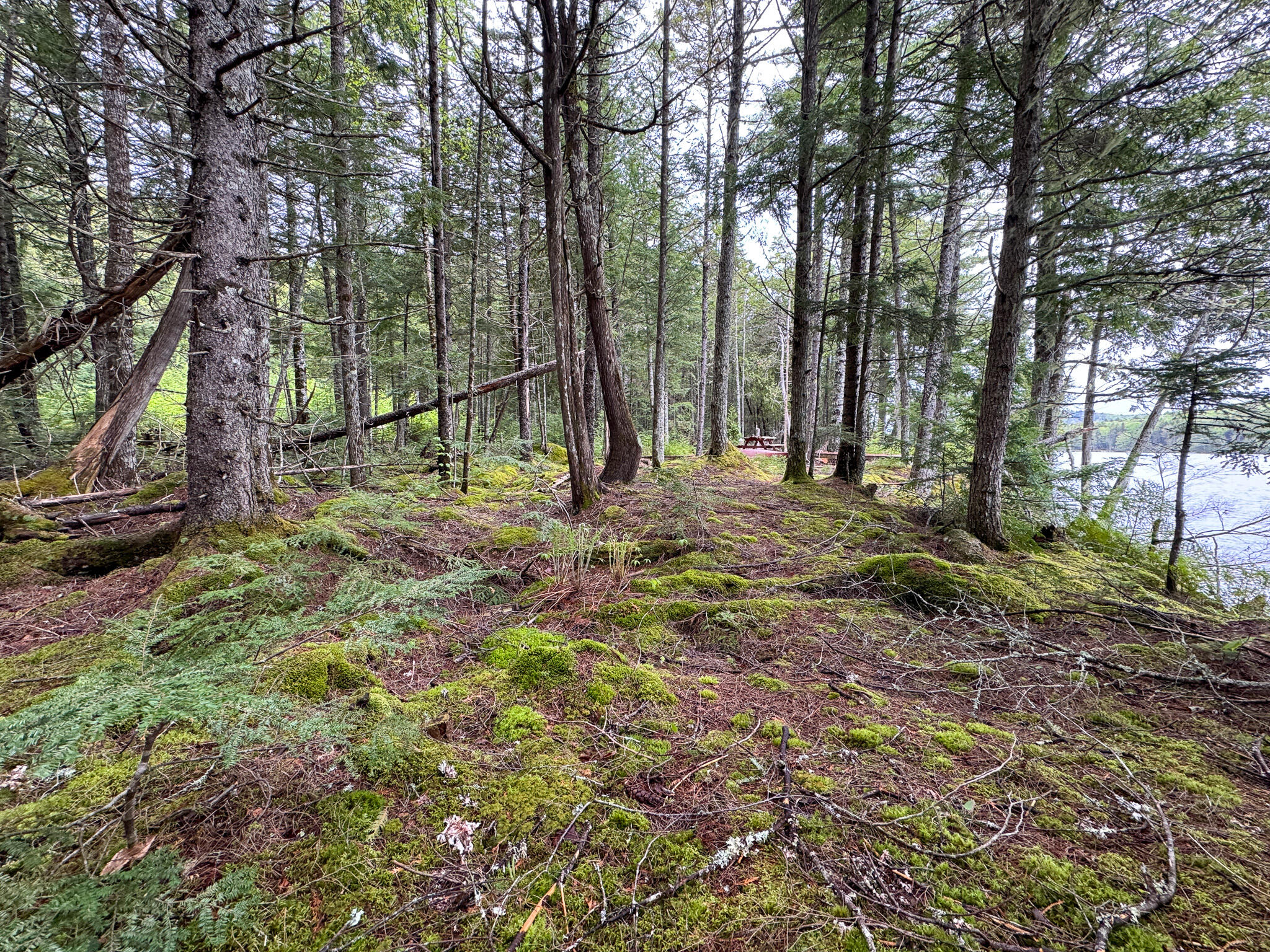 M7-l16 Upper Pug Road West Lakeville, ME 04487 - Photo 23 of 41 IMG_3716