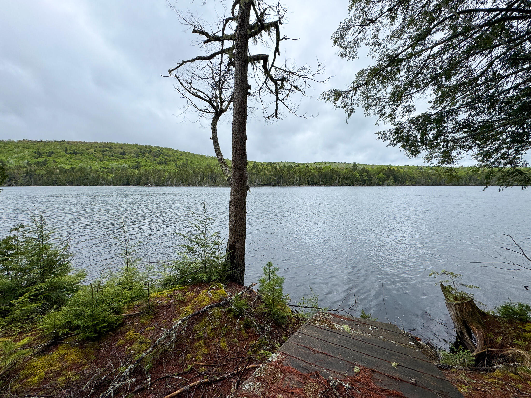 M7-l16 Upper Pug Road West Lakeville, ME 04487 - Photo 24 of 41 IMG_3717