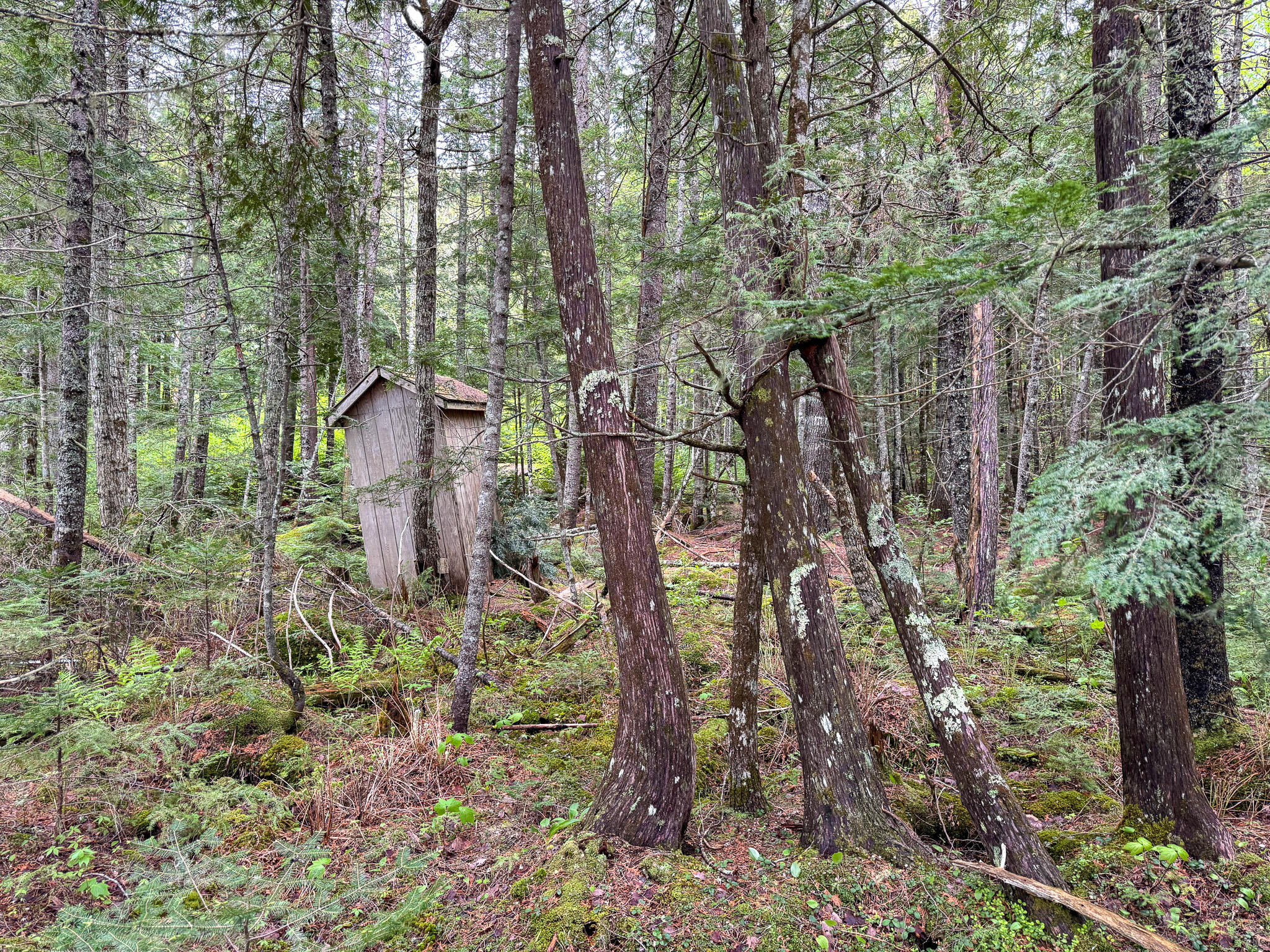 M7-l16 Upper Pug Road West Lakeville, ME 04487 - Photo 25 of 41 IMG_3718