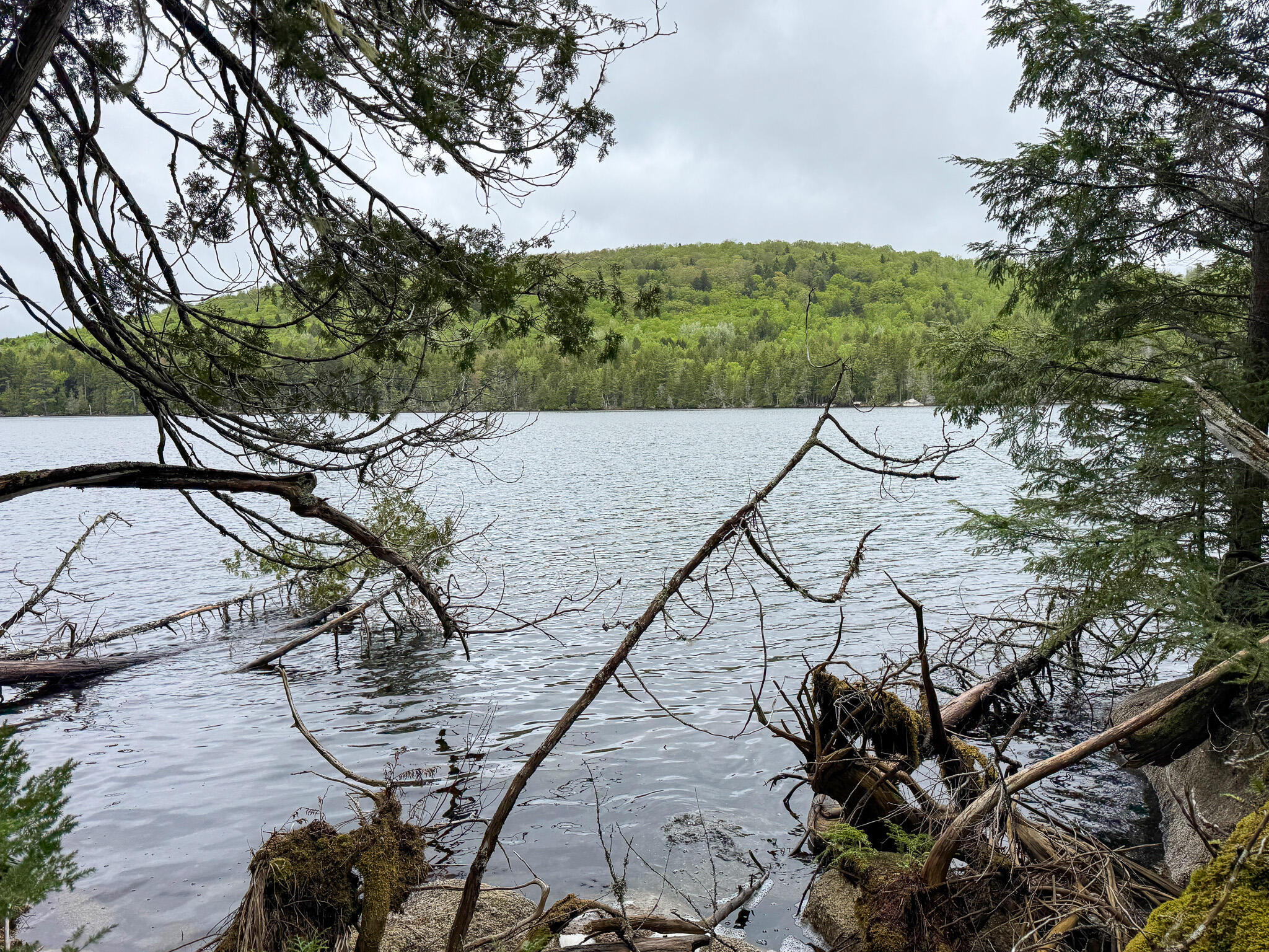 M7-l16 Upper Pug Road West Lakeville, ME 04487 - Photo 28 of 41 IMG_3721