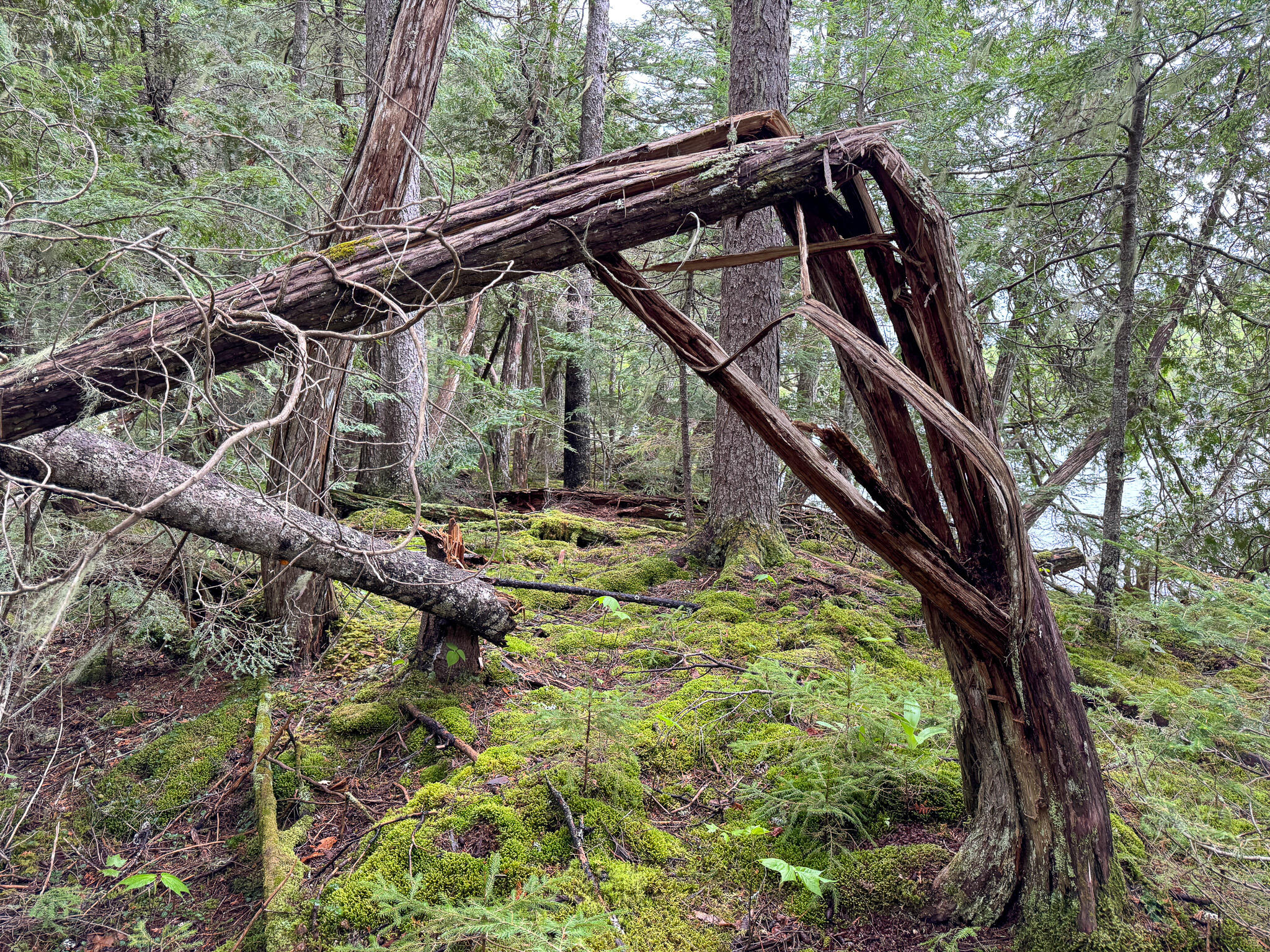 M7-l16 Upper Pug Road West Lakeville, ME 04487 - Photo 29 of 41 IMG_3722