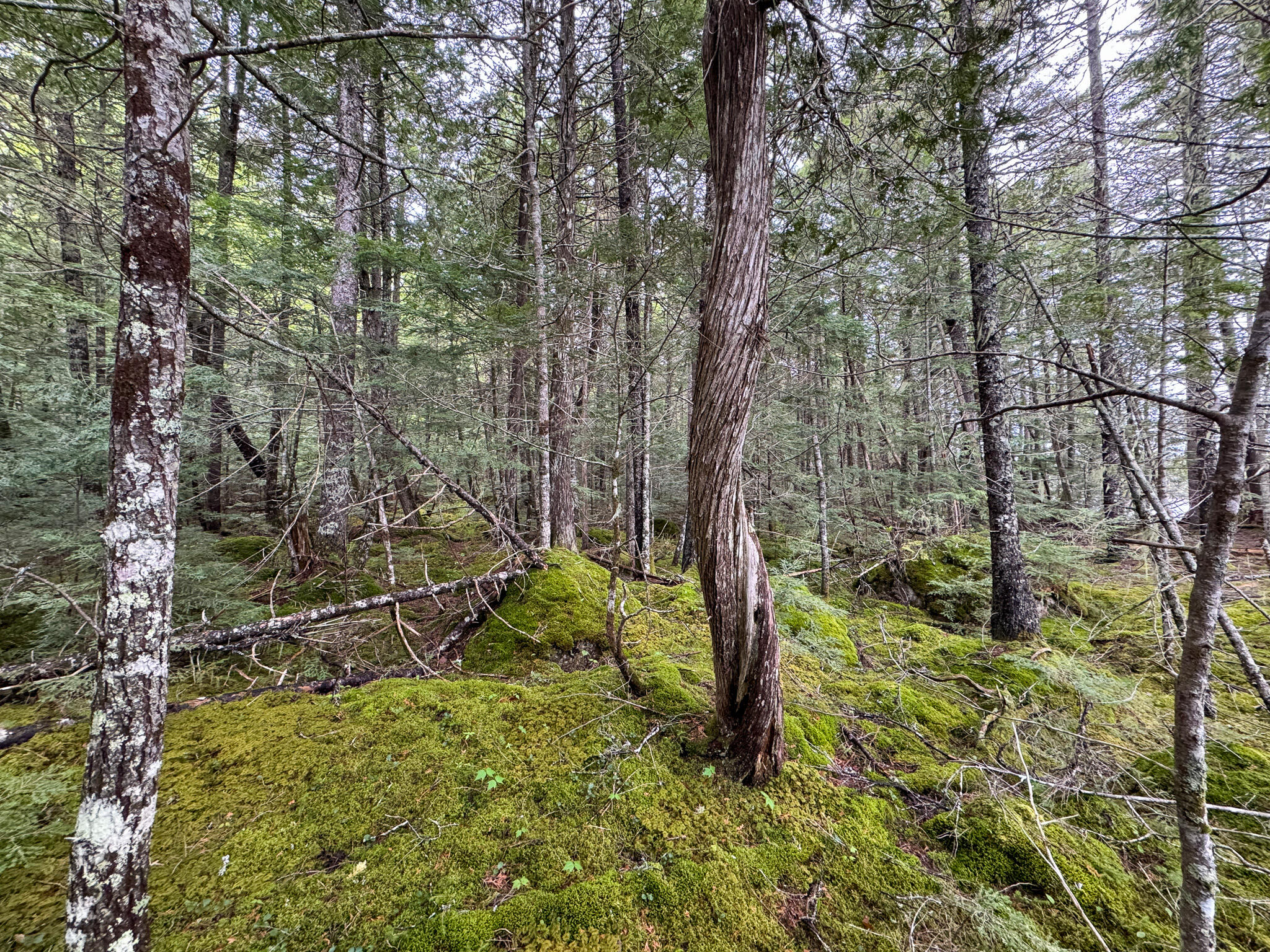 M7-l16 Upper Pug Road West Lakeville, ME 04487 - Photo 31 of 41 IMG_3724