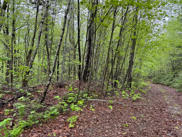 $199,000 | M7-l16 Upper Pug Road West, Lakeville, ME 04487