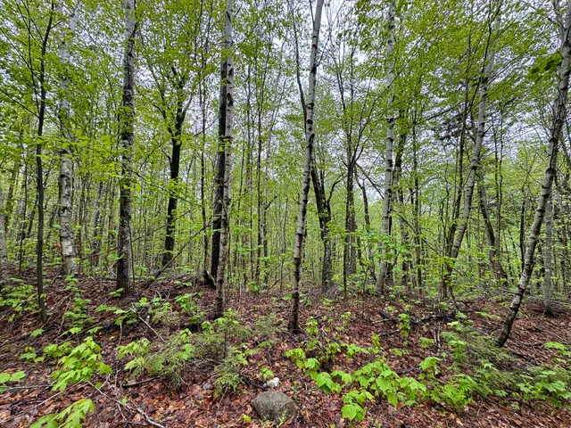 $199,000 | M7-l16 Upper Pug Road West, Lakeville, ME 04487