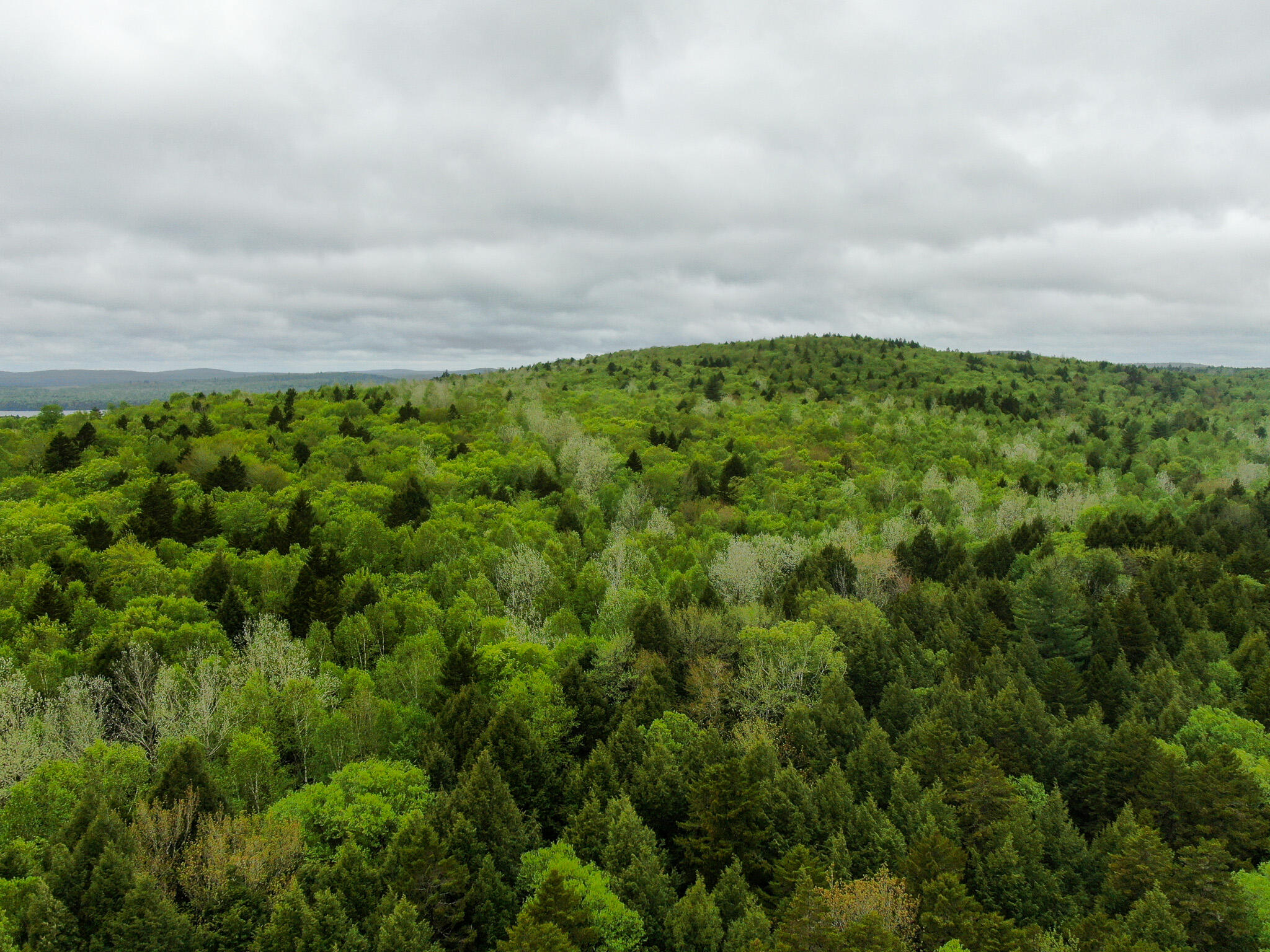 M7-l16 Upper Pug Road West Lakeville, ME 04487 - Photo 4 of 41 DJI_0467
