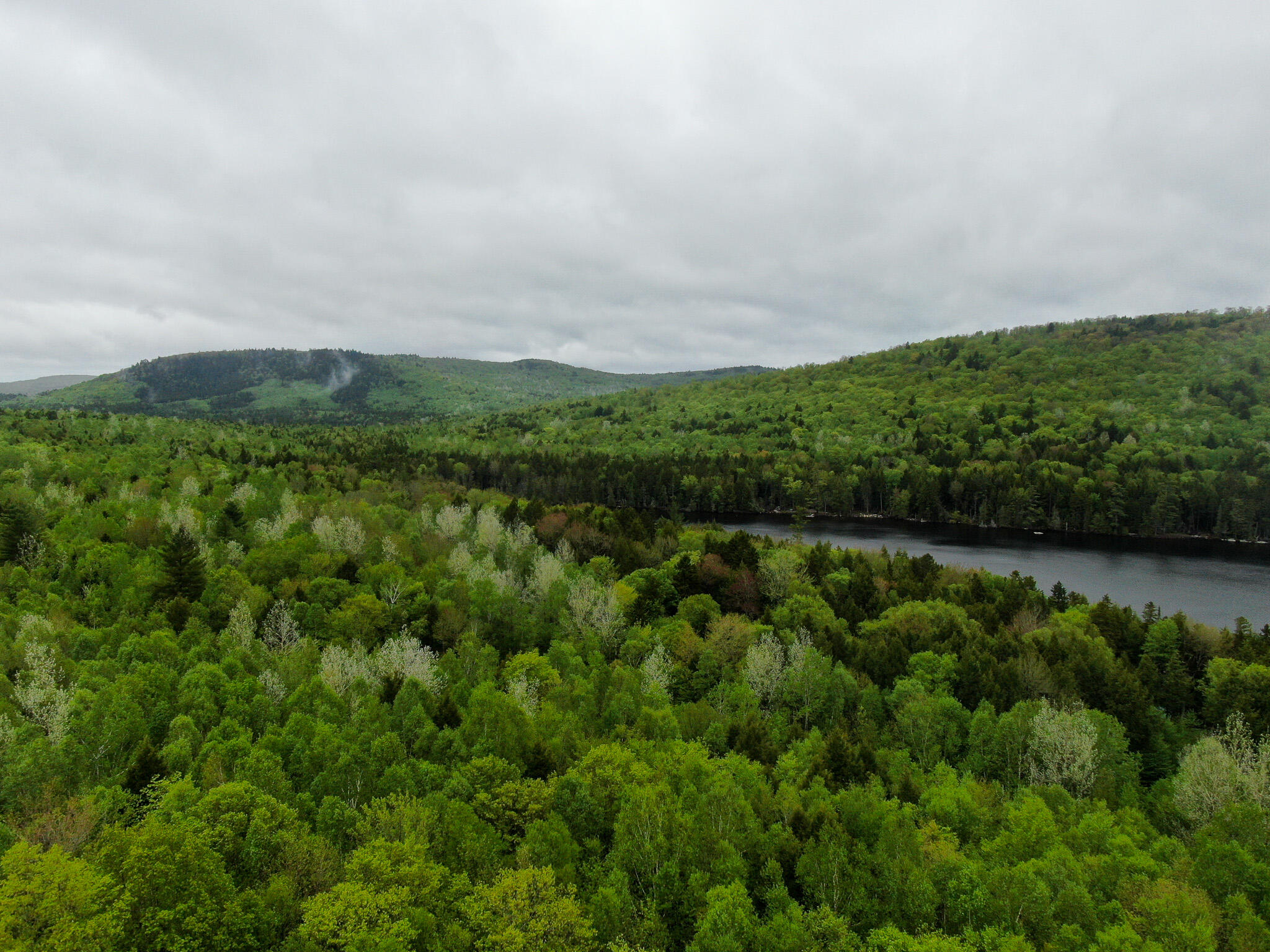 M7-l16 Upper Pug Road West Lakeville, ME 04487 - Photo 5 of 41 DJI_0469