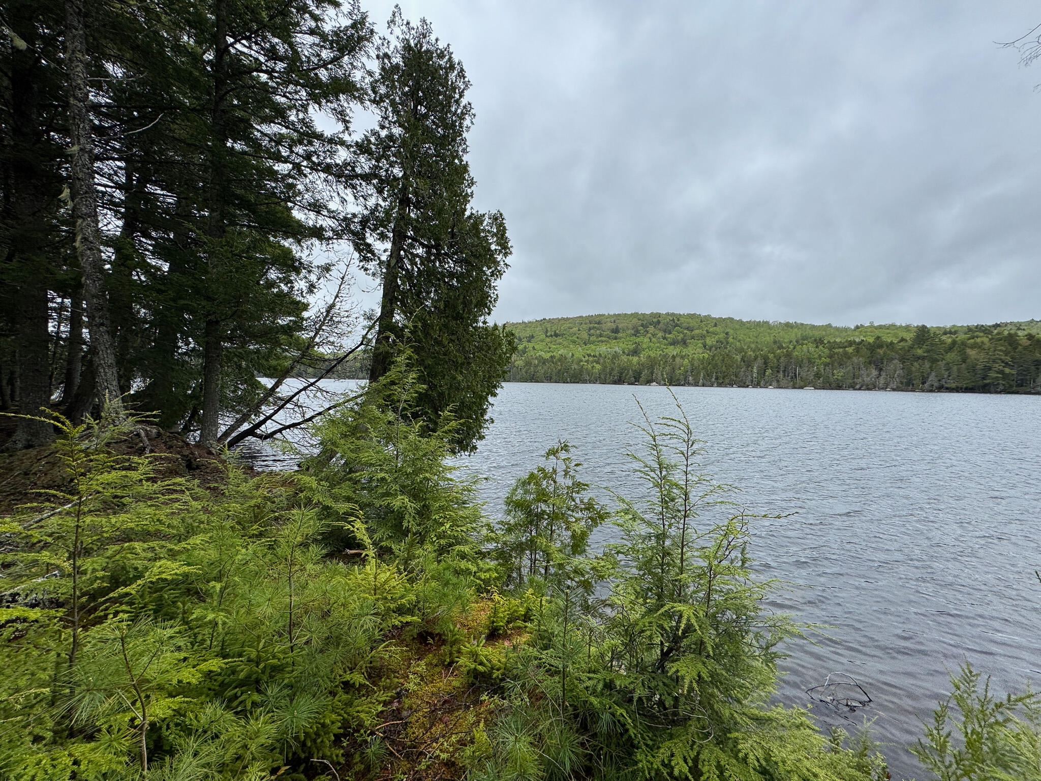 M7-l16 Upper Pug Road West Lakeville, ME 04487 - Photo 8 of 41 IMG_3701