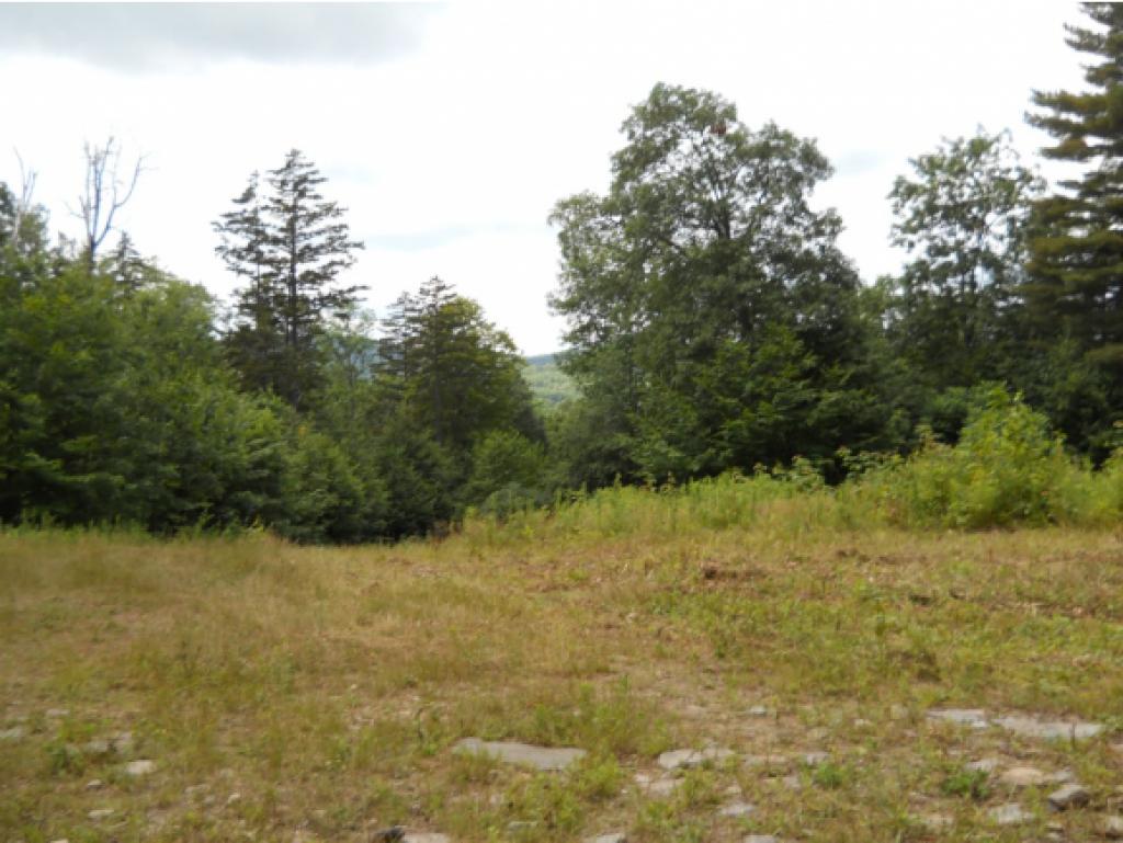 121 Hidden Lane Reading, VT 05062 - Photo 1 of 19