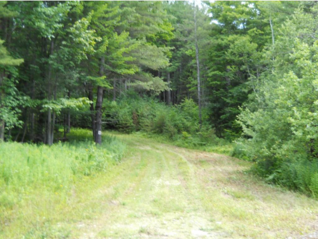 121 Hidden Lane Reading, VT 05062 - Photo 5 of 19