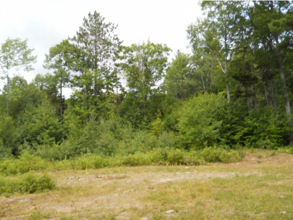 121 Hidden Lane Reading, VT 05062 - Photo 9 of 19