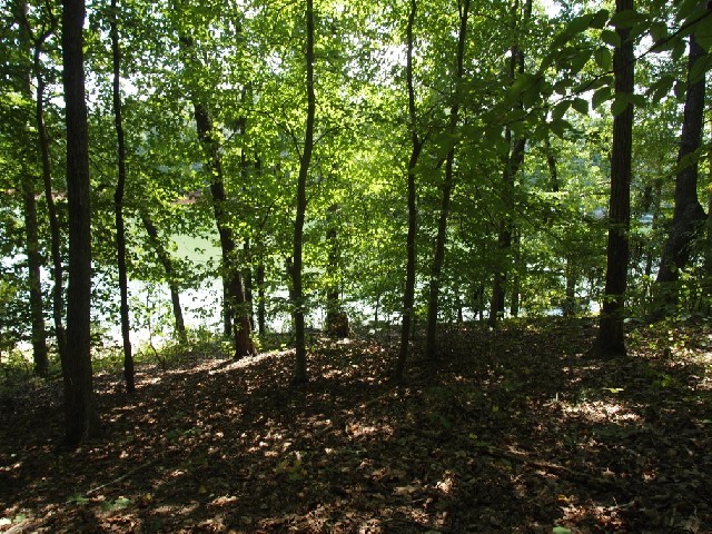 0 Coves End Point Seneca, SC 29678 - Photo 3 of 3 Gallery Image 3