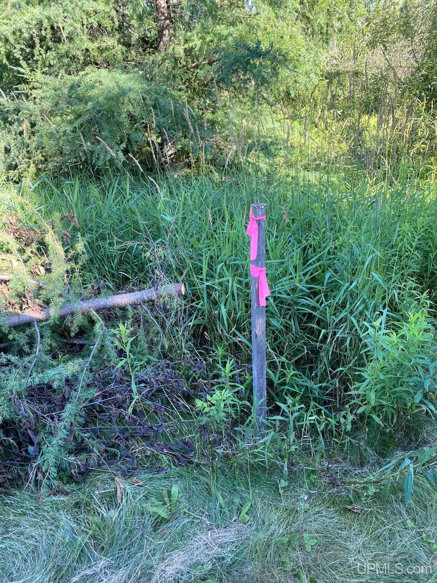 Tbd Barry Road Iron River, MI 49935 - Photo 5 of 40 Gallery Image 5