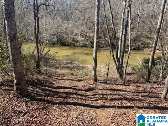 Pate Road Cragford, AL 36255 - Photo 2 of 4
