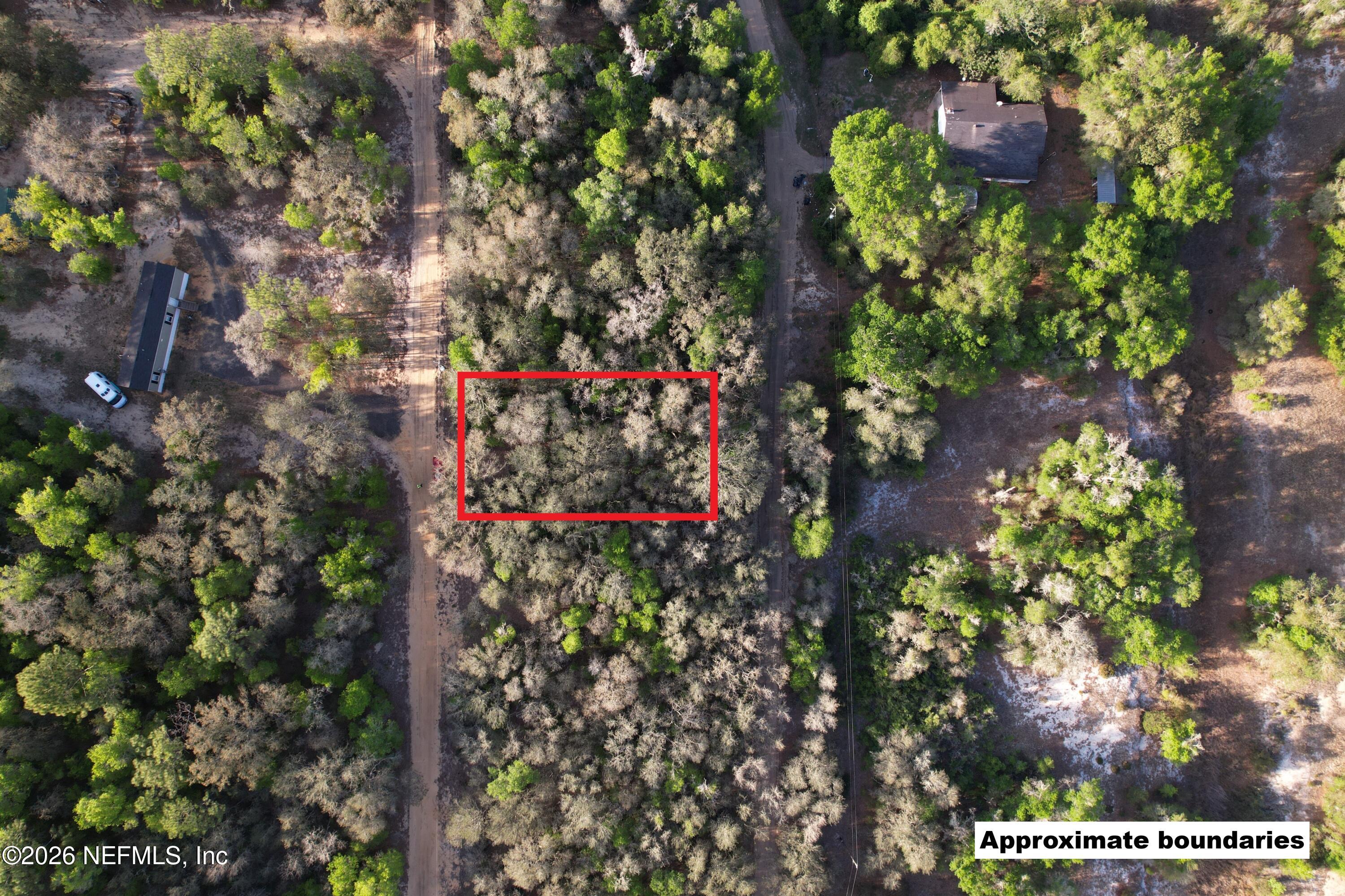 188 Kay Street Interlachen, FL 32148 - Photo 2 of 9 a view of a flower