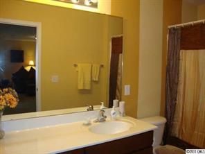 613 Colbert Way Fort Mill, SC 29715 - Photo 11 of 16 a bathroom with a sink and a mirror
