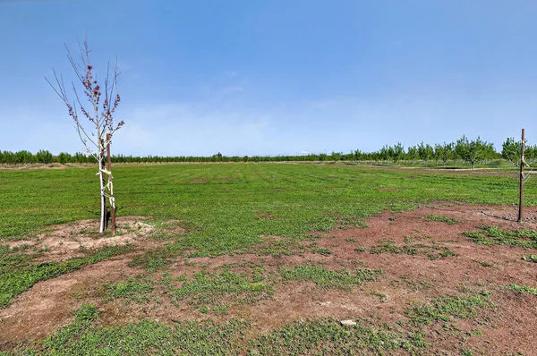 $639,000 | 13807 Dallas Road, Hickman, CA 95323