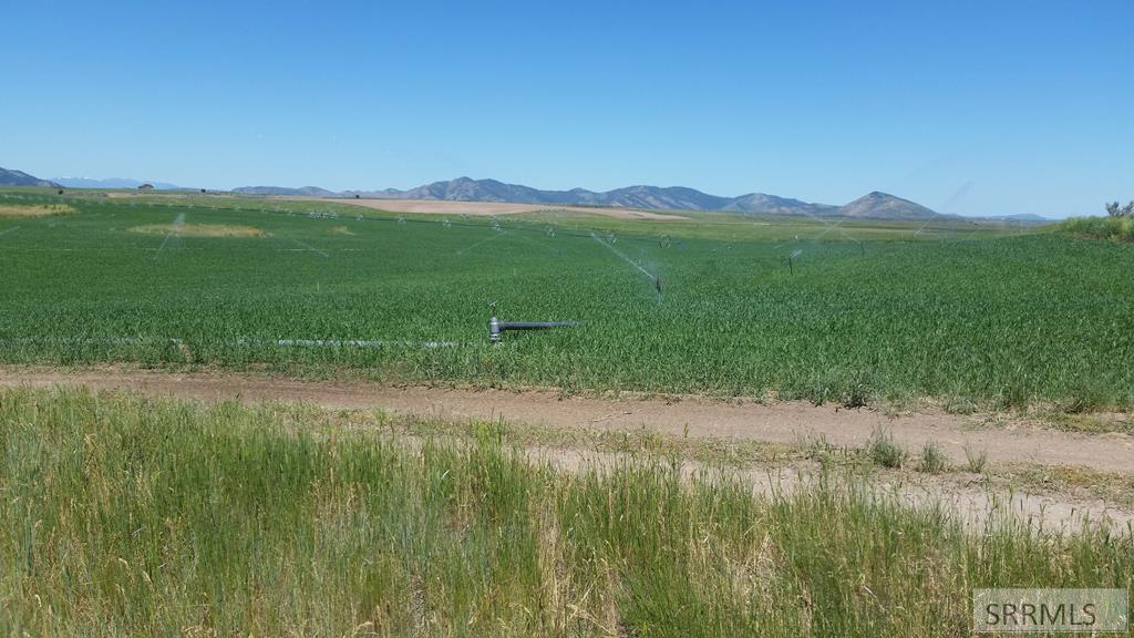 Tbd Bailey Creek Road Soda Springs, ID 83276 - Photo 33 of 50
