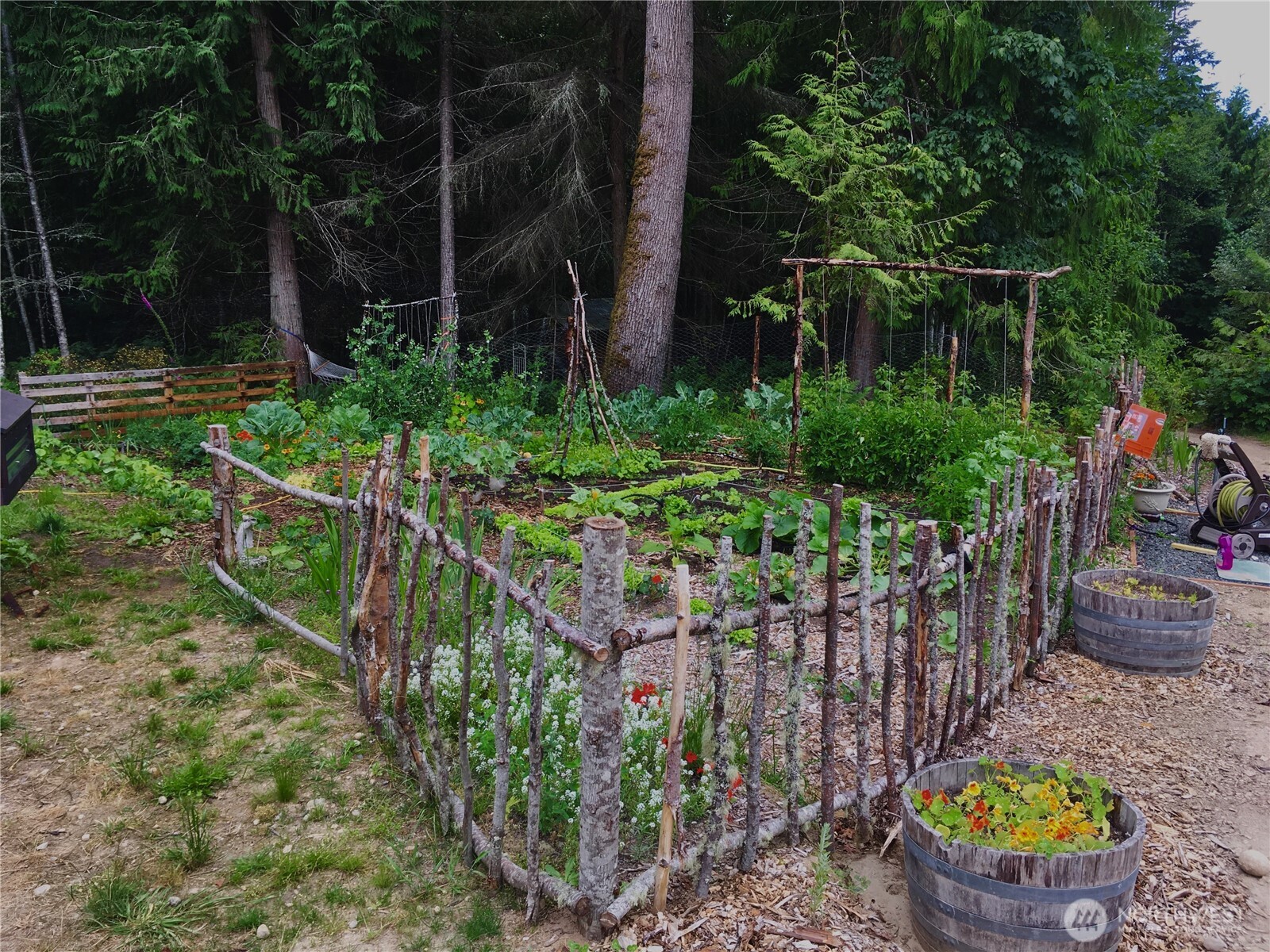 646 Fors Road Port Angeles, WA 98363 - Photo 26 of 39 Gallery Image 26