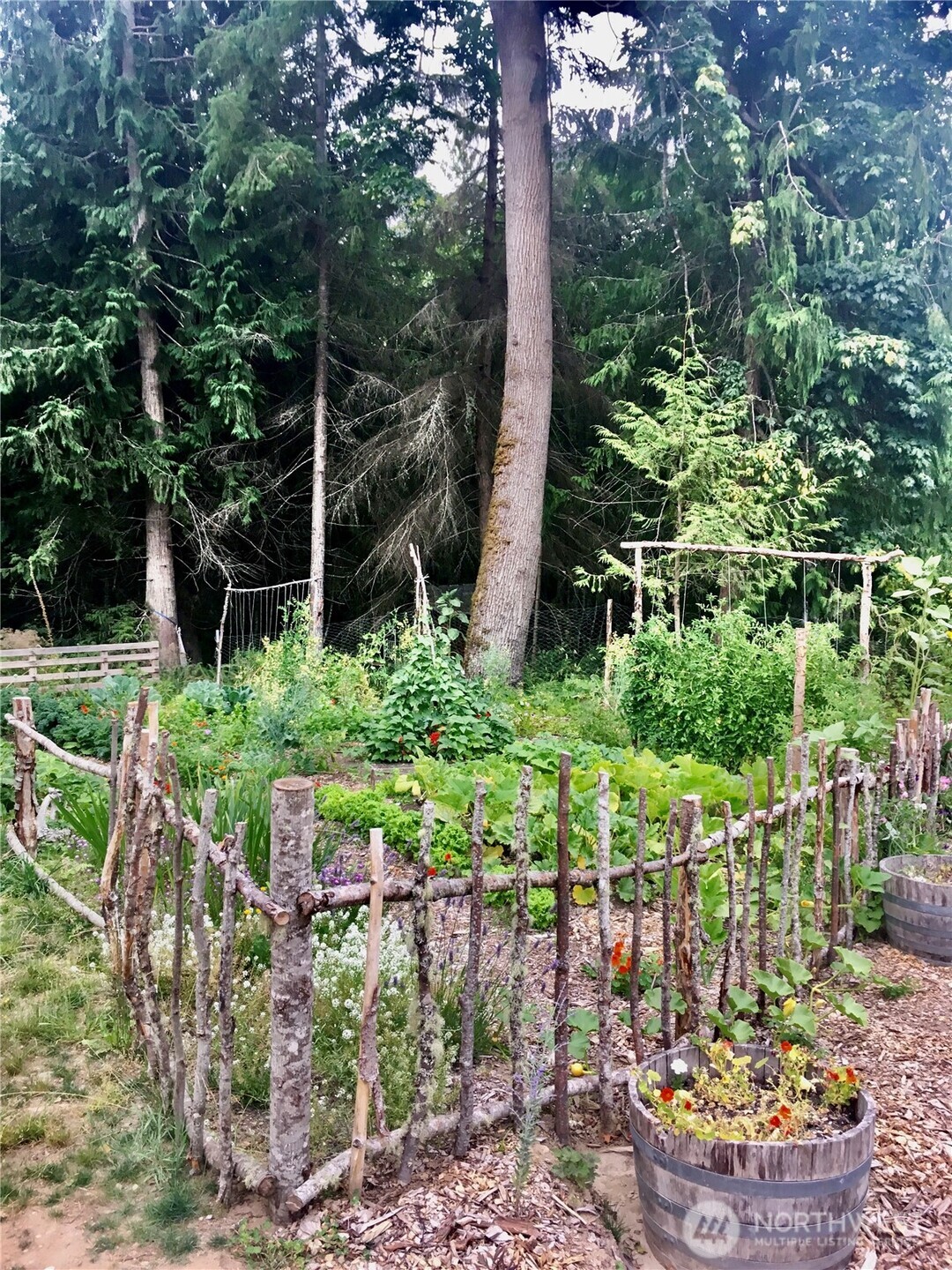 646 Fors Road Port Angeles, WA 98363 - Photo 27 of 39 Gallery Image 27