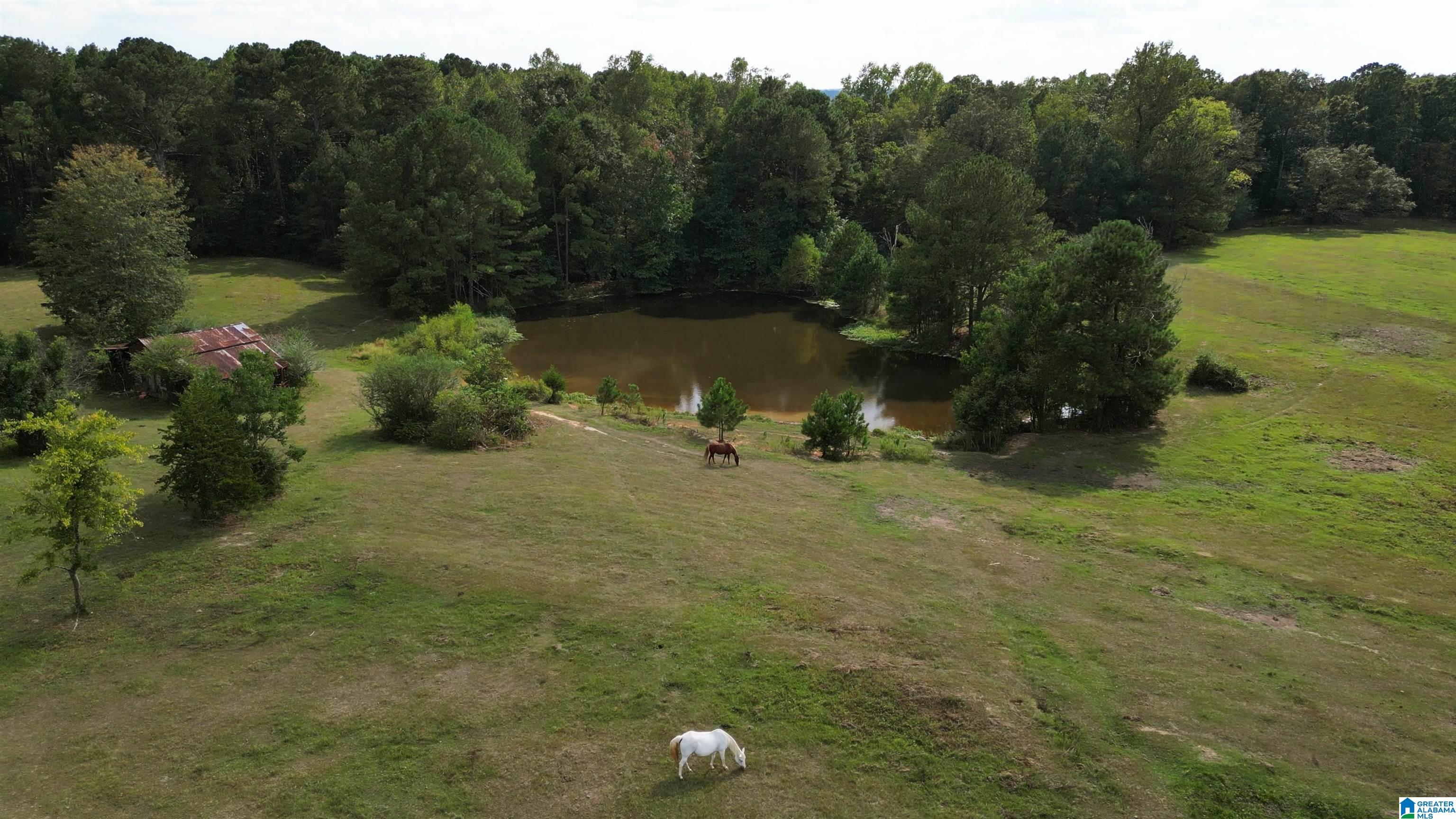 1417 Steve Crowder Road Bessemer, AL 35023 - Photo 11 of 27