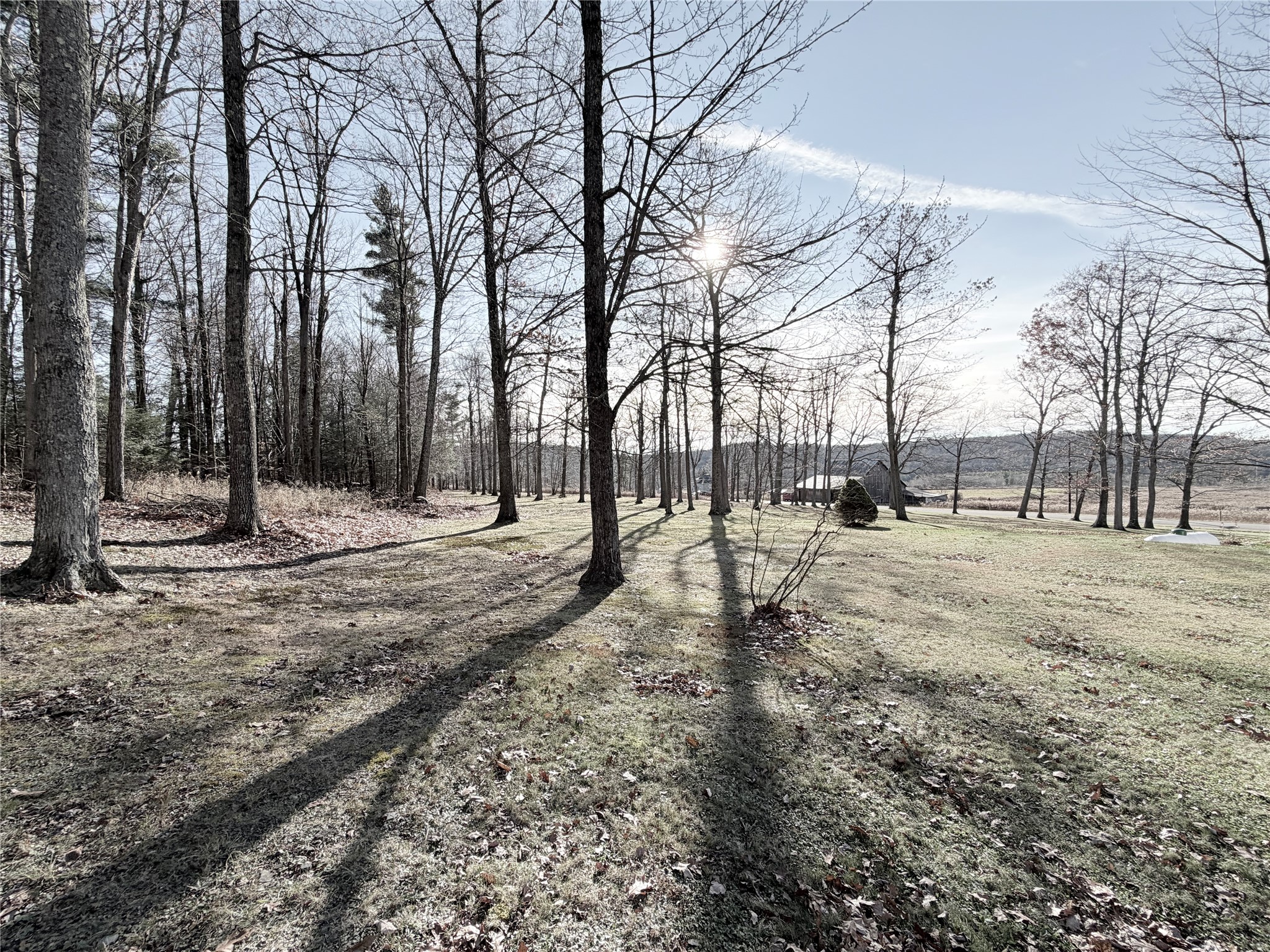 3801 Waits Road Owego, NY 13827 - Photo 22 of 31