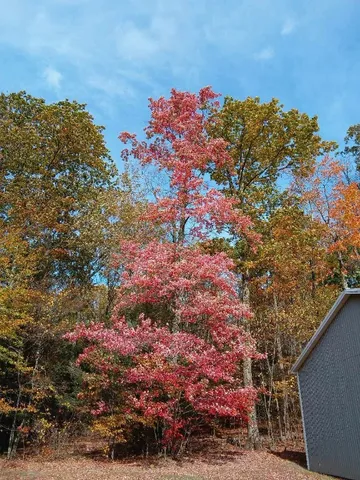 $359,700 | 3801 Waits Road, Owego, NY 13827