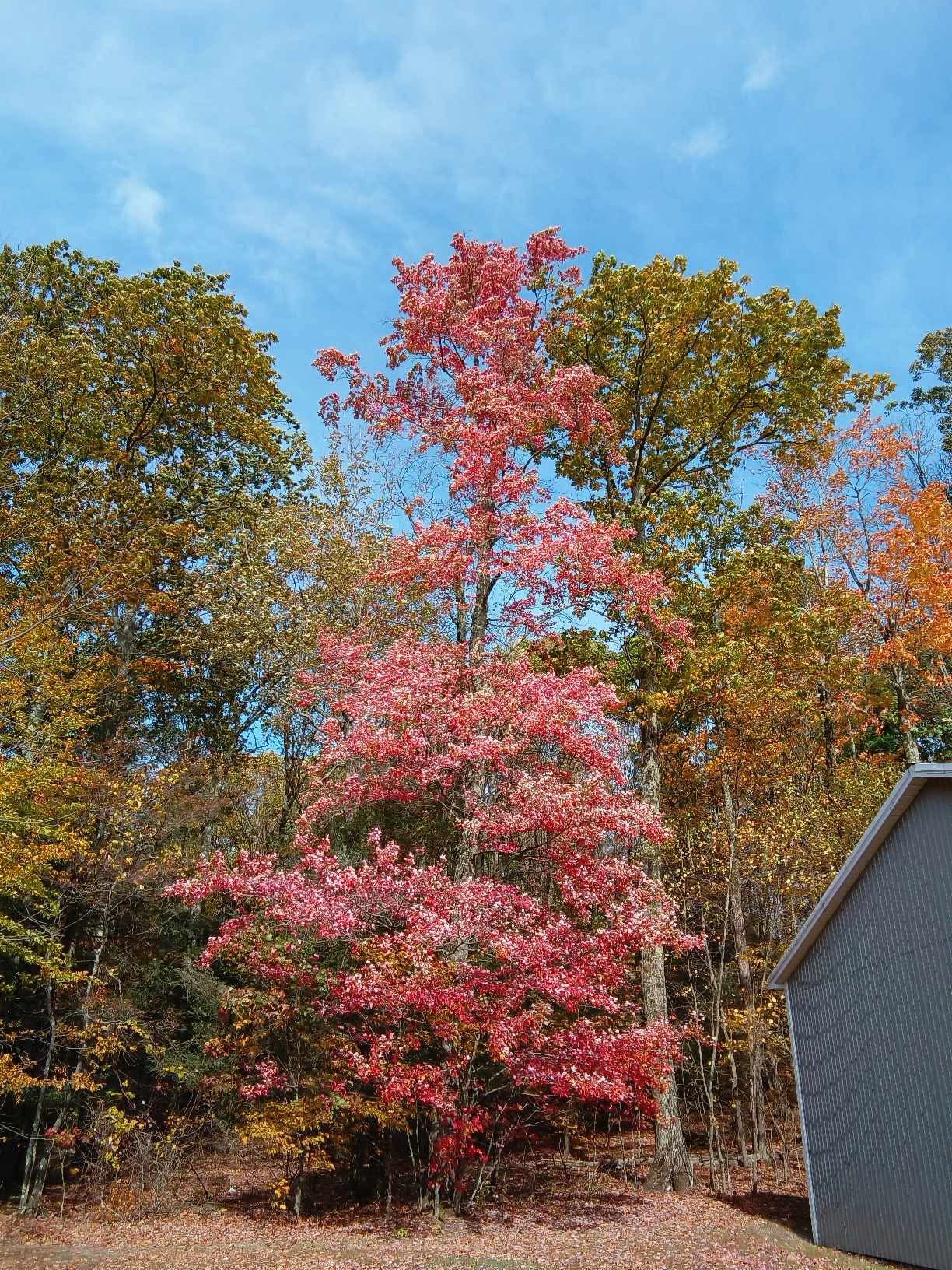 3801 Waits Road Owego, NY 13827 - Photo 25 of 31