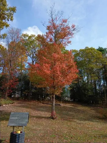 $359,700 | 3801 Waits Road, Owego, NY 13827