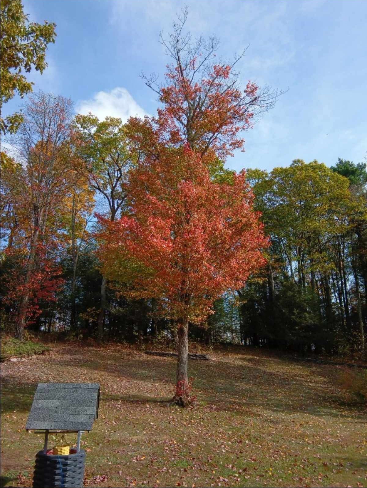 3801 Waits Road Owego, NY 13827 - Photo 26 of 31