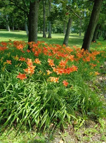 $359,700 | 3801 Waits Road, Owego, NY 13827