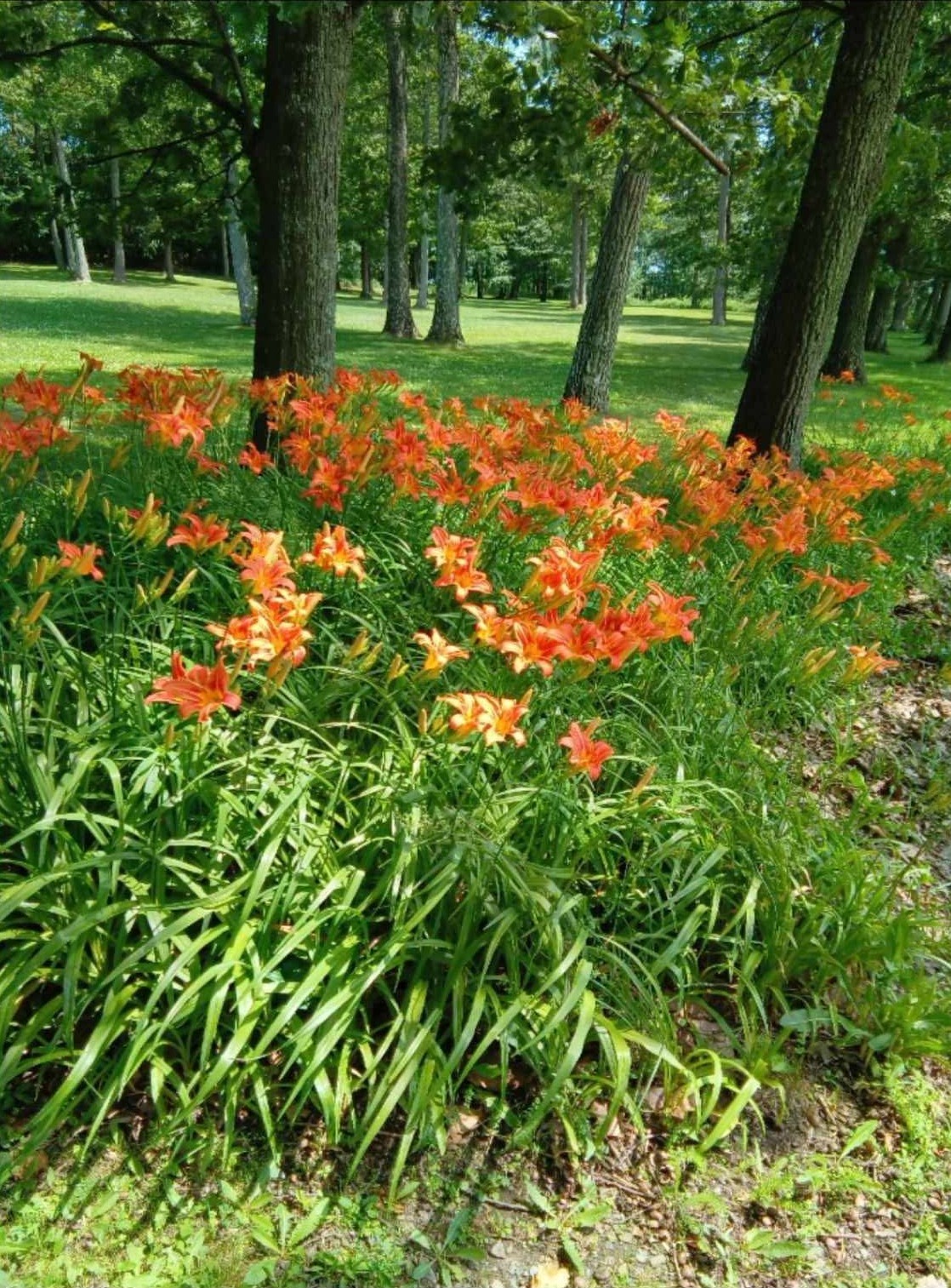 3801 Waits Road Owego, NY 13827 - Photo 27 of 31