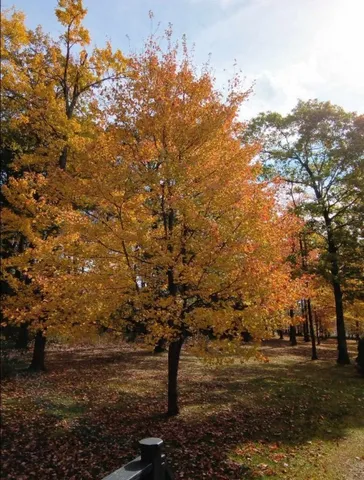 $359,700 | 3801 Waits Road, Owego, NY 13827