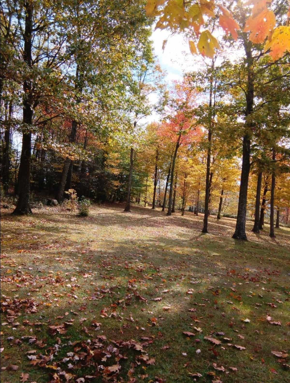 3801 Waits Road Owego, NY 13827 - Photo 30 of 31