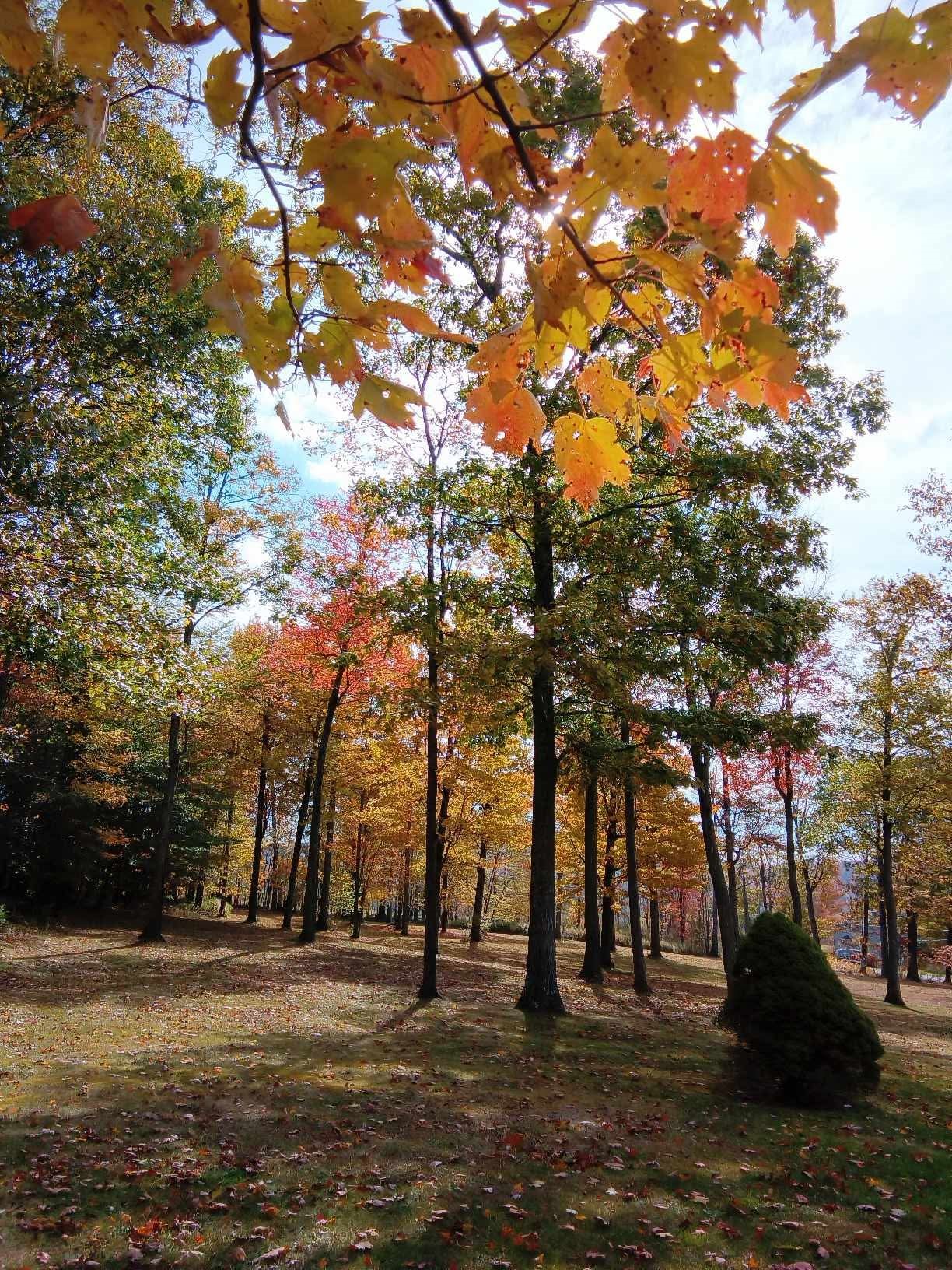 3801 Waits Road Owego, NY 13827 - Photo 31 of 31