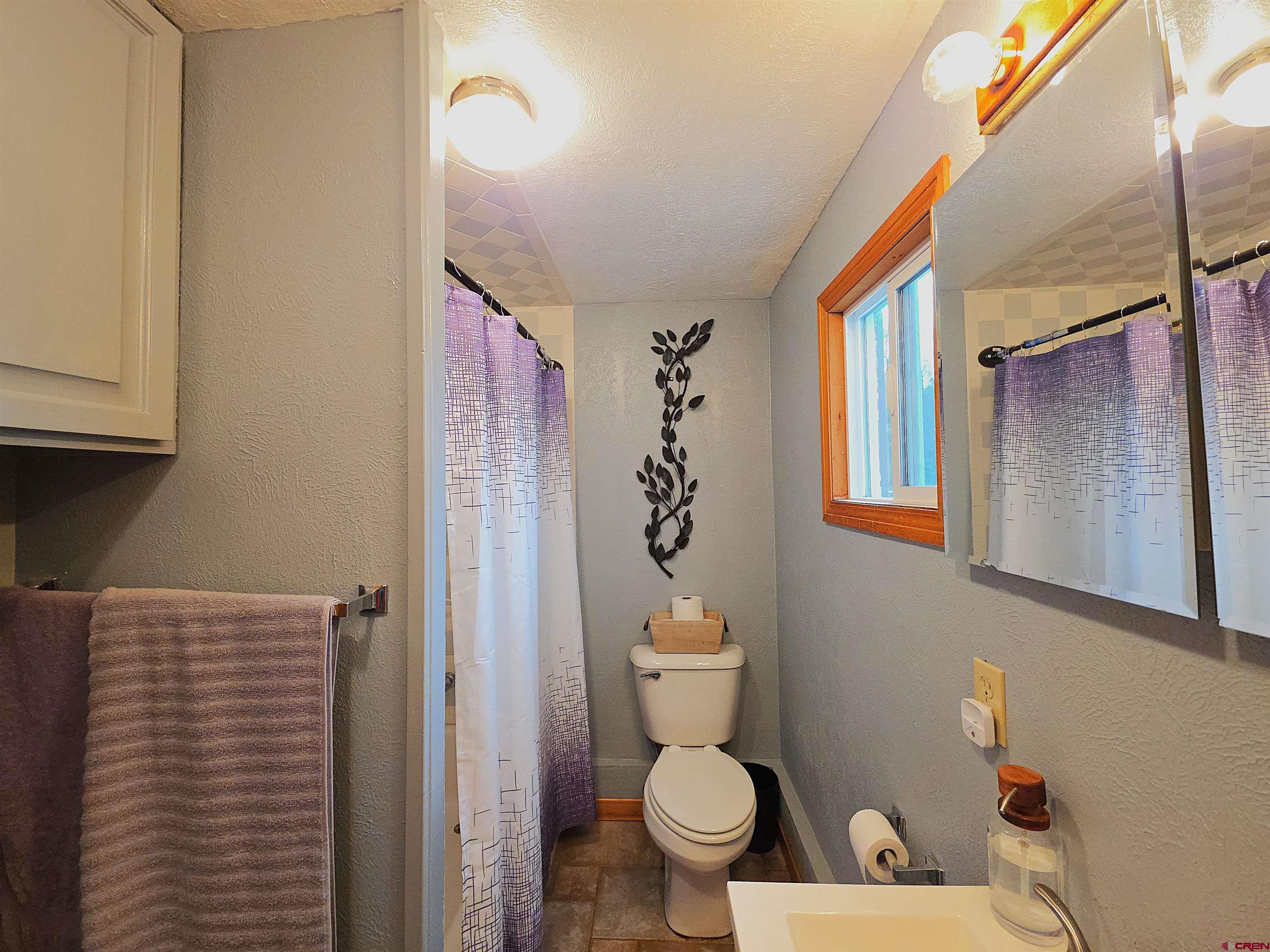 21976 2225th Road Cedaredge, CO 81413 - Photo 18 of 29 Full Bathroom