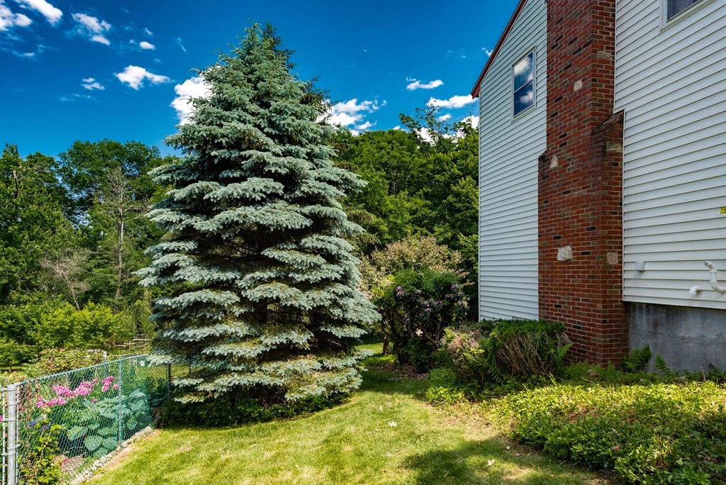 46 Pilgrim Road Braintree, MA 02184 - Photo 13 of 35 a view of a flower in a garden