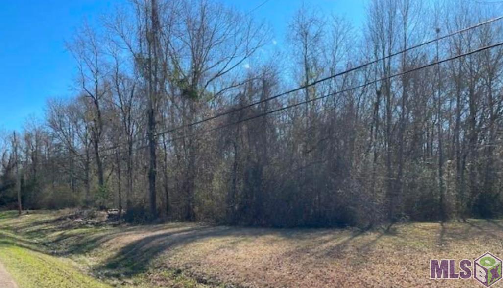 3144 Vernon Road Zachary, LA 70791 - Photo 2 of 3 Gallery Image 2