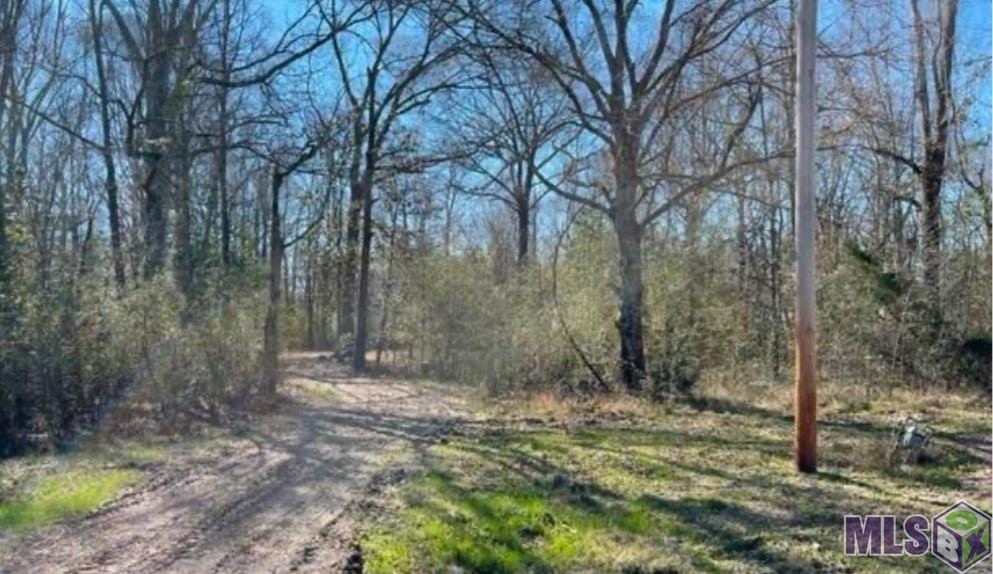 3144 Vernon Road Zachary, LA 70791 - Photo 3 of 3 Gallery Image 3