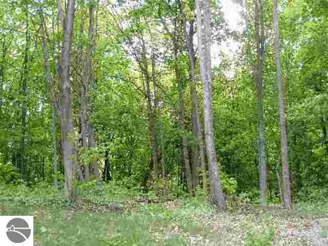 A/b/c Carlisle Road Traverse City, MI 49686 - Photo 6 of 6
