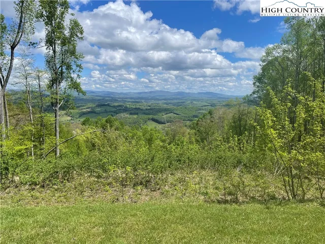 a view of a bunch of trees and bushes