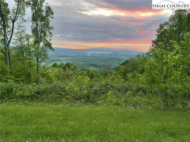 a view of a yard with an outdoor space