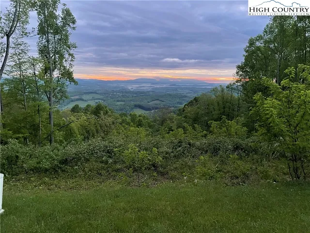 a view of a lush green forest with lots of trees