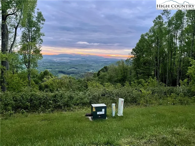 a view of a field with a tree