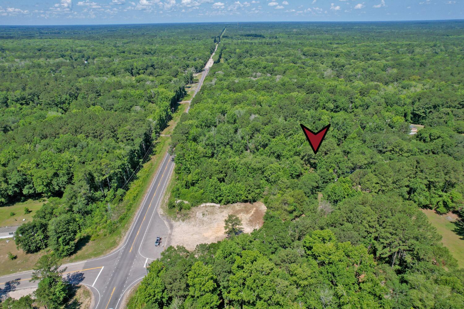 119 Sandpit Drive Ridgeville, SC 29472 - Photo 8 of 17