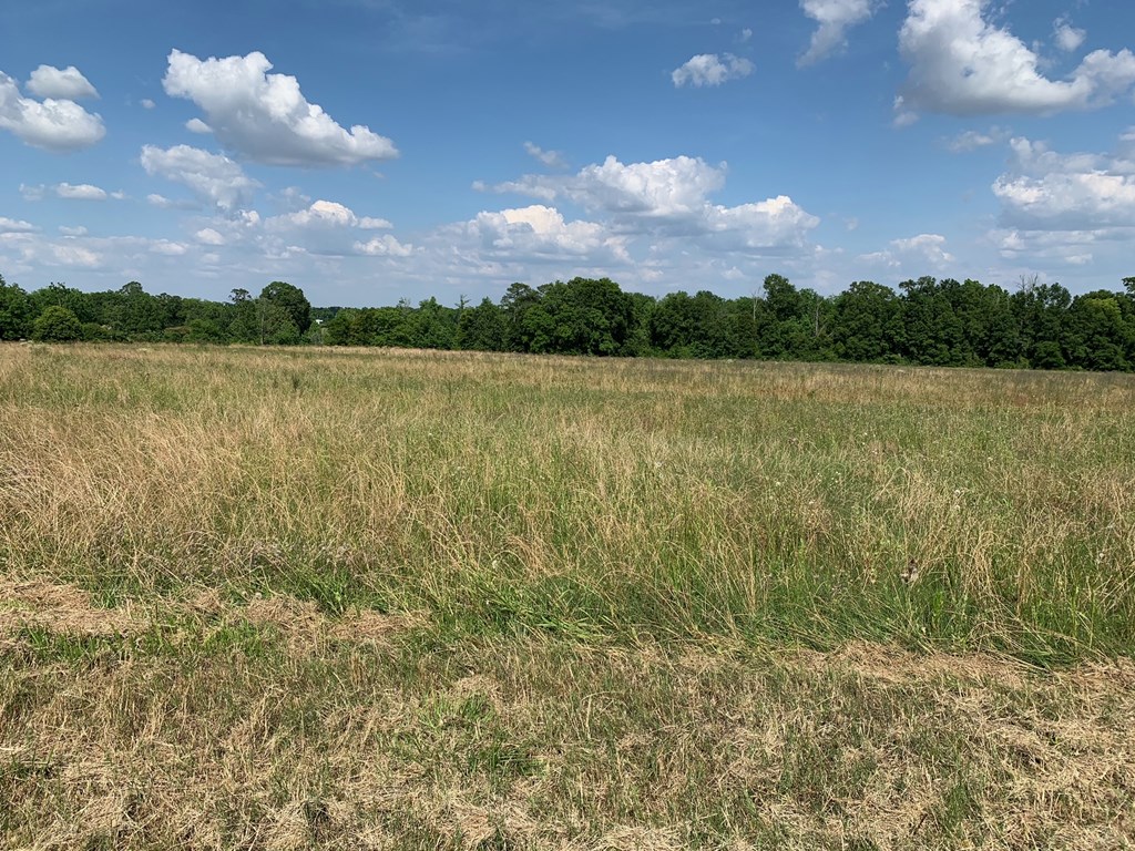Lot 3 South Co Road Headland, AL 36345 - Photo 4 of 11