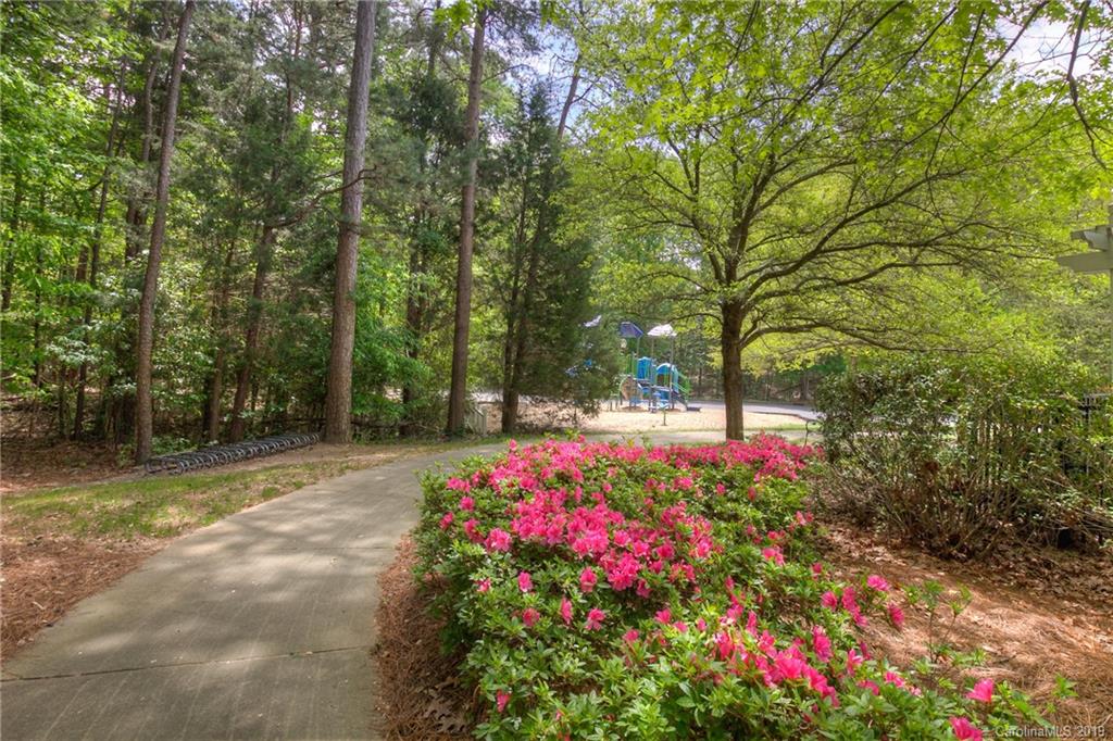 290 Elis Way Fort Mill, SC 29708 - Photo 28 of 30