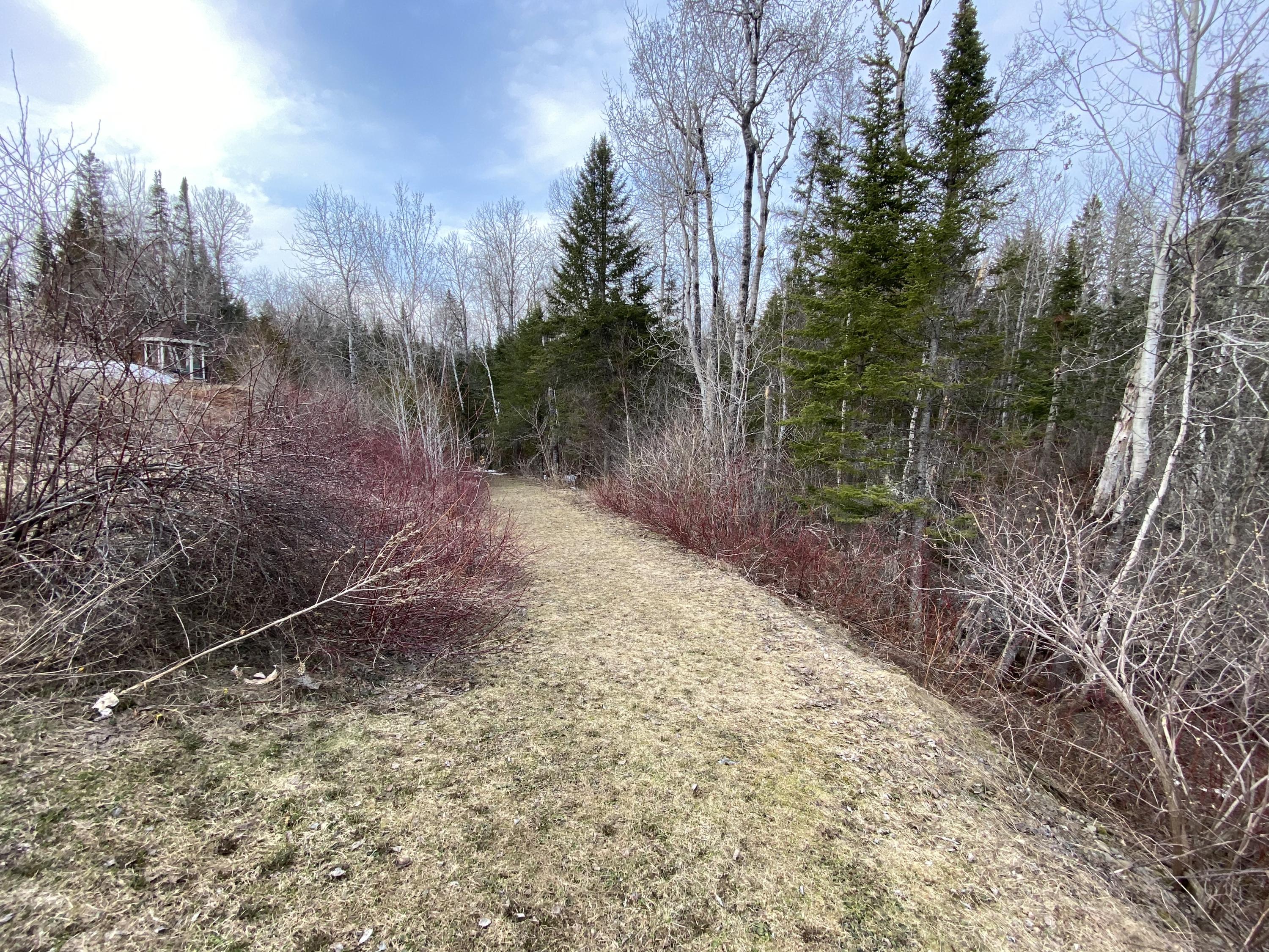 79 Madawaska Road Caribou, ME 04736 - Photo 48 of 58 79 Madawaska Rd Caribou 4-28-2020 (63)