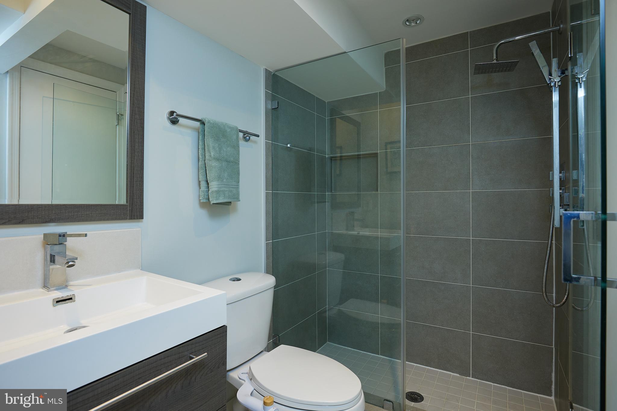 421 Longfellow Street Northwest Washington, DC 20011 - Photo 35 of 58 a bathroom with a shower a sink a toilet and mirror